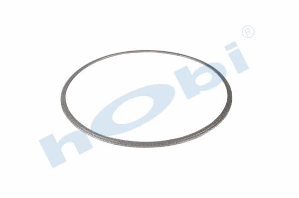 Gasket DPF DF CF Graphite