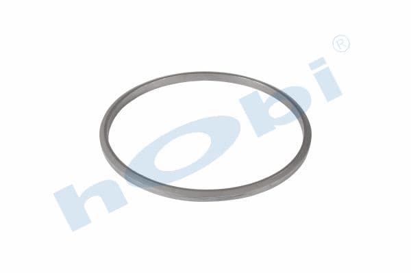 Gasket DPF SC Graphite