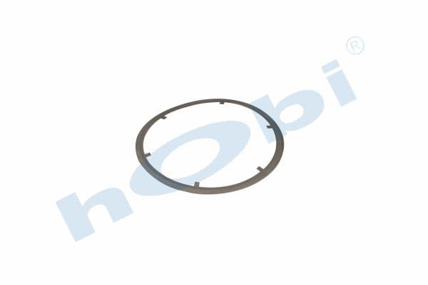 Gasket MN Steel
