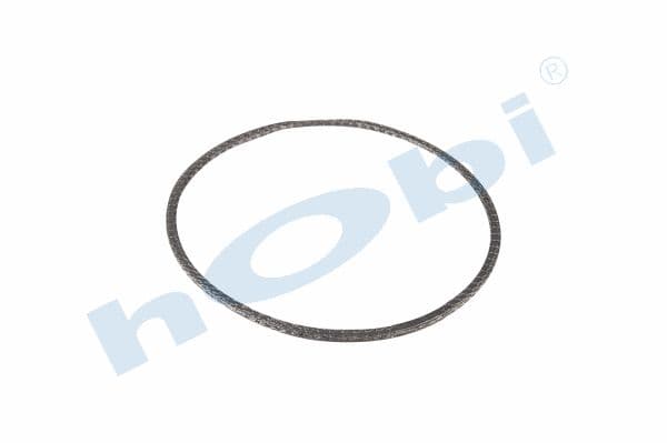 Gasket DPF SC Graphite