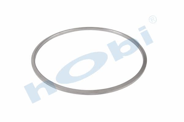 Gasket DPF DF Graphite