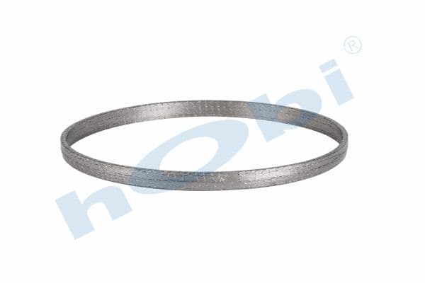 Gasket DPF SC Graphite