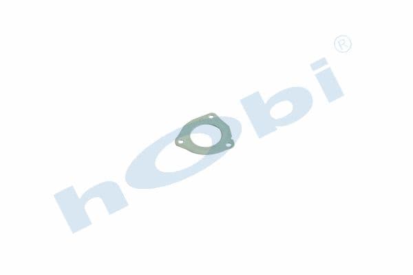 Gasket RN Steel