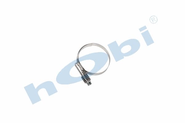 Kelepçe, Yaylı Bant, Universal Ø57-79 W:15,8 Inox