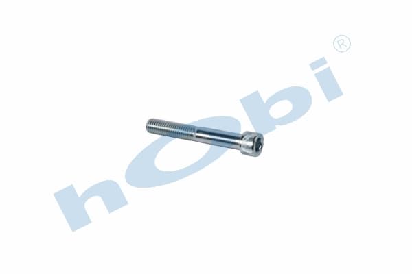 Civata, İmbus Alyan Başlı, M12x1,75 L:80 Dkp,
